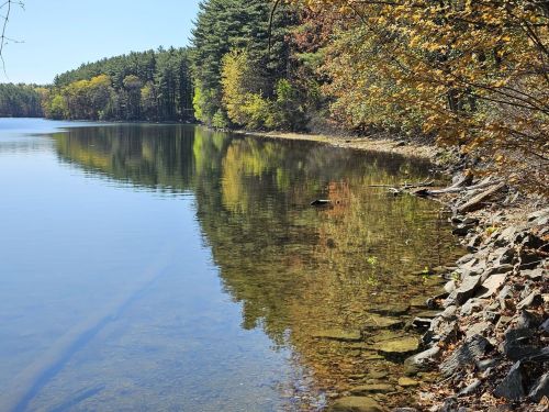 A serene lake surrounded by trees with autumn foliage, reflecting the colorful landscape on the calm water.