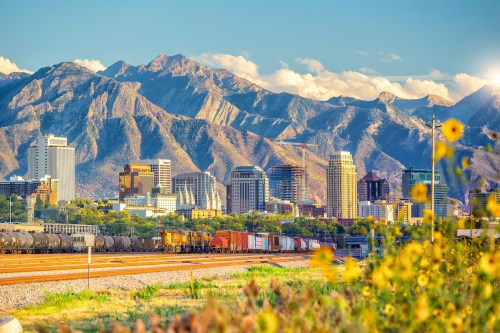 A vibrant city skyline with mountains in the background, framed by flowers and a train in the foreground.