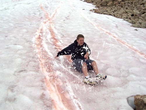 A boy slides down a snowy slope, leaving tracks in the snow, with pinkish hues visible on the surface.