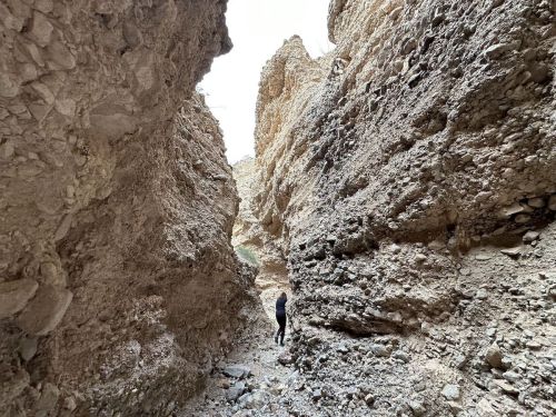 A person stands in a narrow canyon surrounded by towering rocky walls.
