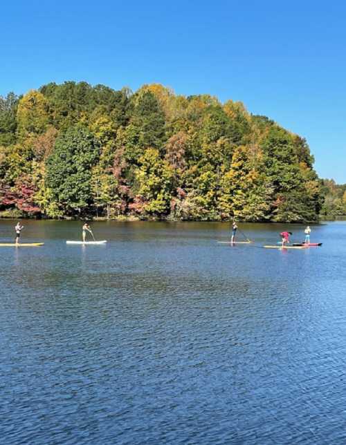 Four people paddleboarding on a calm lake surrounded by colorful autumn trees under a clear blue sky.