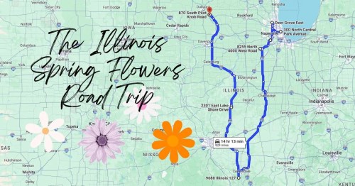 Map of the Illinois Spring Flowers Road Trip, featuring routes and floral illustrations.