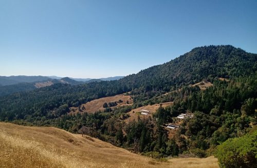 A scenic view of rolling hills and a mountain under a clear blue sky, with patches of forest and dry grassland.