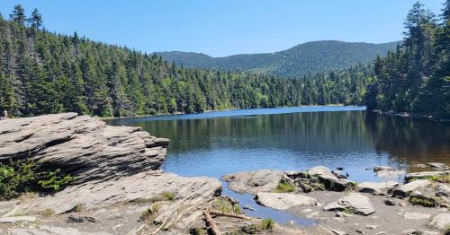 A serene lake surrounded by lush green trees and mountains under a clear blue sky. Rocky shoreline in the foreground.
