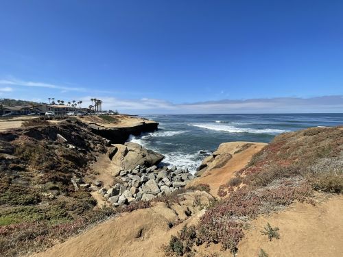 Coastal view with rocky shoreline, waves crashing, and palm trees under a clear blue sky.