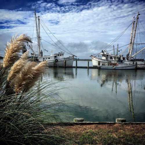 Two fishing boats docked at a calm harbor, with tall grass in the foreground and a cloudy blue sky above.