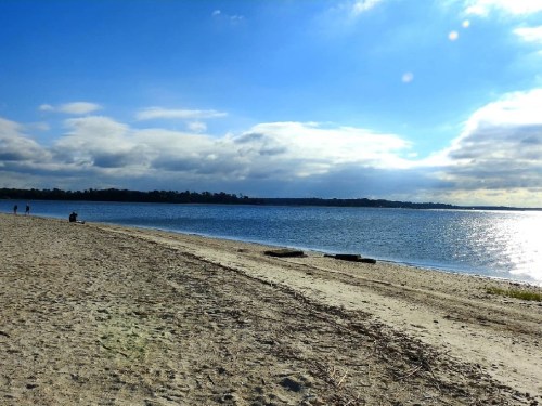 A serene beach scene with a sandy shore, calm water, and a cloudy blue sky in the background.