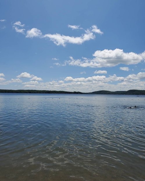 A serene lake under a clear blue sky with fluffy clouds and distant hills in the background.