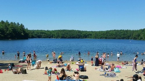 A busy beach scene with people swimming and relaxing by a lake, surrounded by trees under a clear blue sky.
