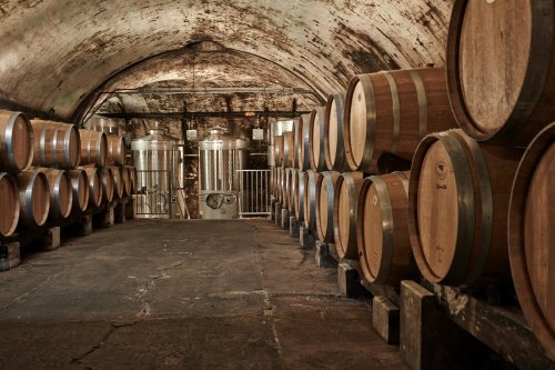 A dimly lit wine cellar with wooden barrels lined against the walls and stainless steel fermentation tanks in the background.