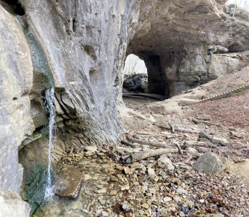 A rocky cave with a small waterfall and a sandy floor, surrounded by fallen leaves and tree branches.