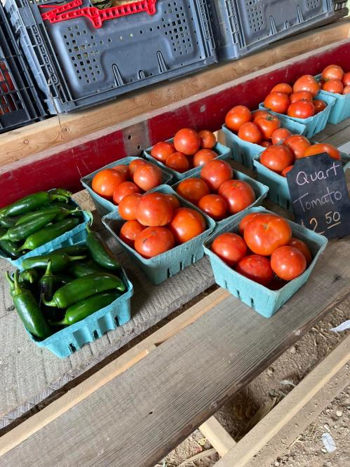 Baskets of fresh tomatoes and jalapeños on a wooden table, with a sign listing tomatoes for $2.50 per quart.