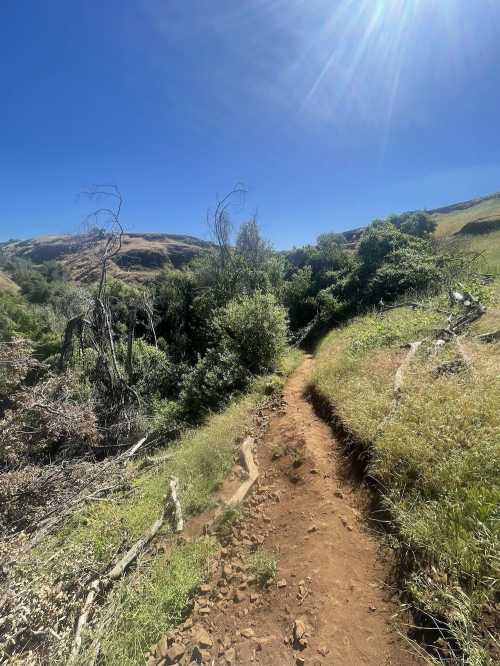 A winding dirt path through lush greenery and hills under a clear blue sky. Sunlight shines brightly overhead.