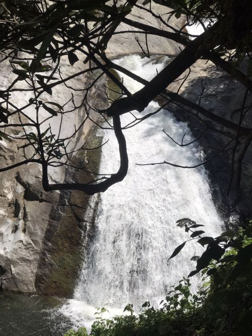 A cascading waterfall surrounded by lush greenery and rocky cliffs, framed by tree branches above.