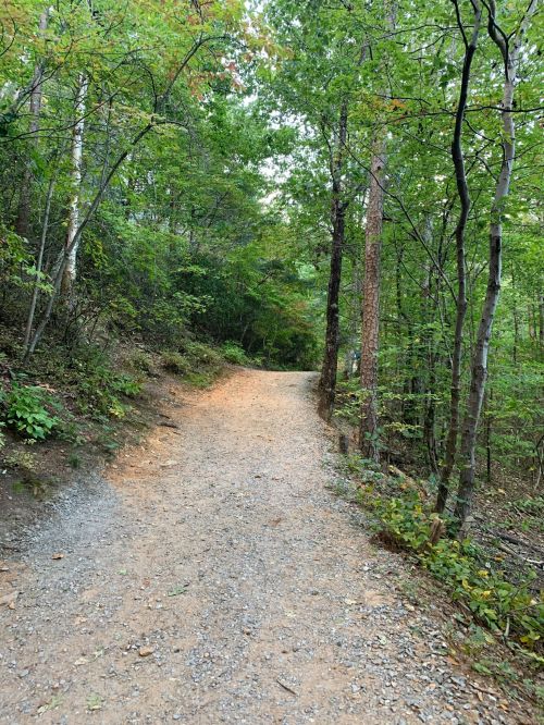 A winding gravel path through a lush green forest, surrounded by trees and foliage.
