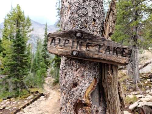 Wooden sign reading "Alpine Lake" attached to a tree in a forested area with a trail visible in the background.