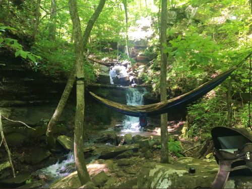 A serene forest scene featuring a hammock between trees, with a small waterfall and stream flowing nearby.
