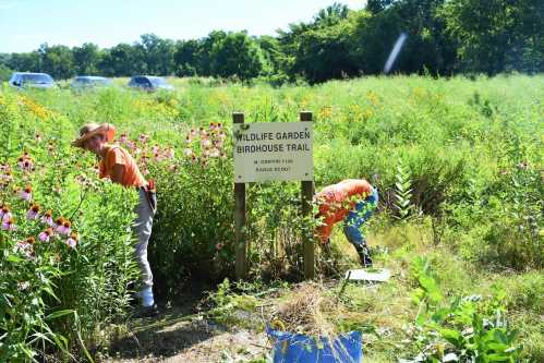 Two people tending to flowers near a sign for the Wildlife Garden Birdhouse Trail in a sunny, green field.