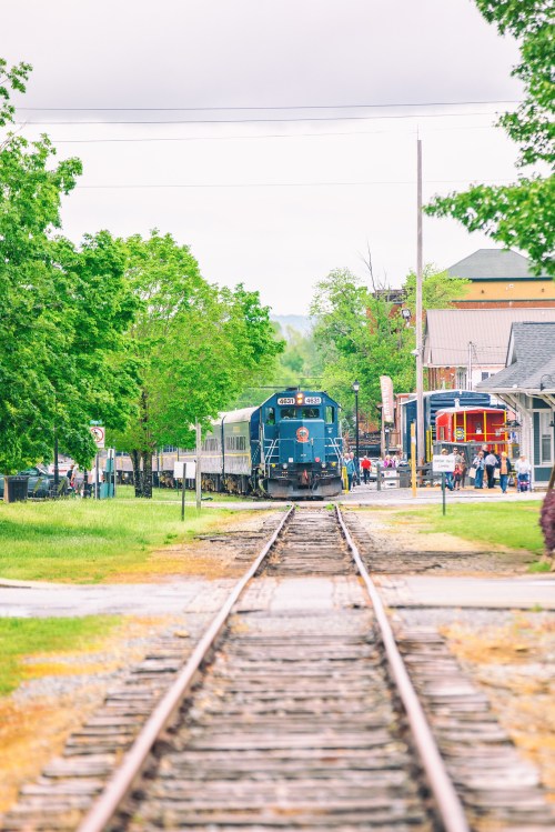 A blue train on tracks with green trees and a bustling station in the background on a cloudy day.