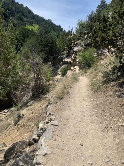 A narrow dirt trail winds through rocky terrain, surrounded by greenery and shrubs under a clear blue sky.