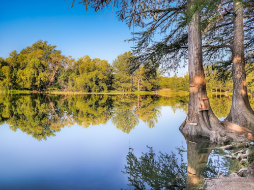 A serene lake scene with trees reflecting in the calm water under a clear blue sky.