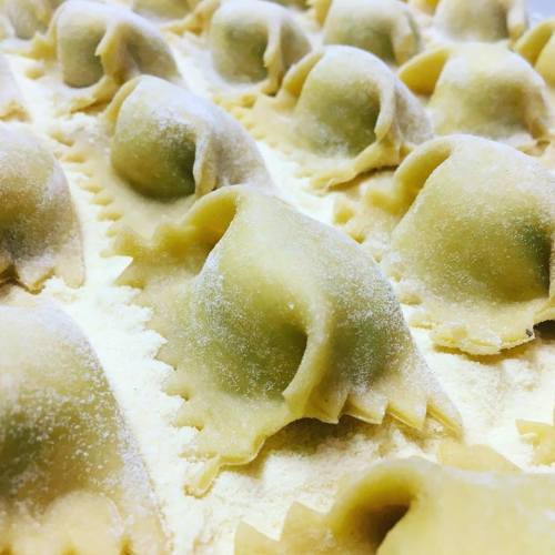 Close-up of freshly made pasta dumplings arranged on a floured surface, showcasing their textured edges.