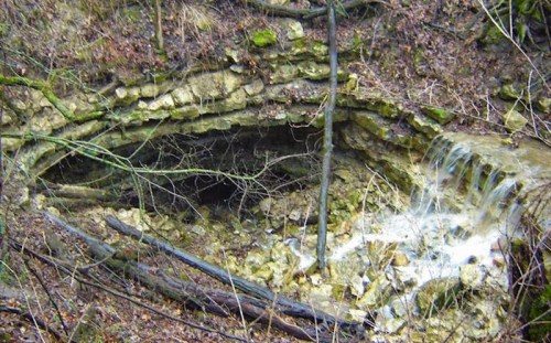 A small waterfall cascades over rocky terrain in a wooded area, surrounded by bare trees and fallen branches.
