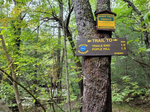 Trail sign on a tree in a lush forest, indicating directions to Trails End (1.0 miles) and Pople Hill (1.3 miles).