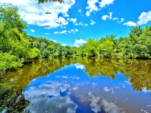 A serene lake reflecting blue skies and fluffy clouds, surrounded by lush green trees and hills.