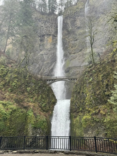 A stunning waterfall cascades down a rocky cliff, with a bridge spanning the lower falls amidst lush greenery.