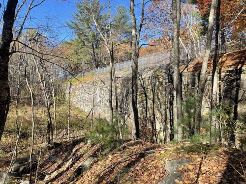 A stone wall rises above a forested area with trees and fallen leaves under a clear blue sky.