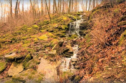 A small waterfall cascades over moss-covered rocks in a wooded area with autumn foliage.