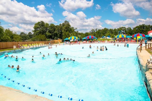 A sunny outdoor pool scene with people swimming, colorful umbrellas, and trees in the background.