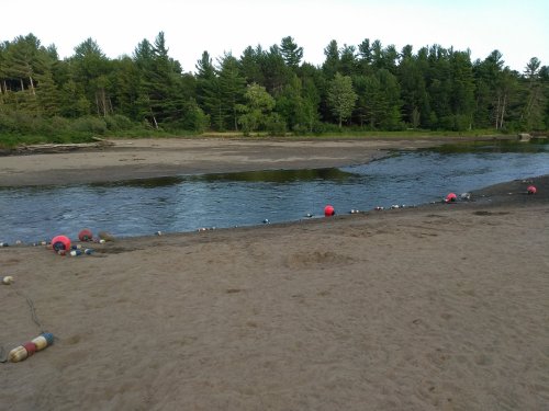 A sandy riverbank with a calm waterway, surrounded by trees and marked by colorful buoys along the shore.