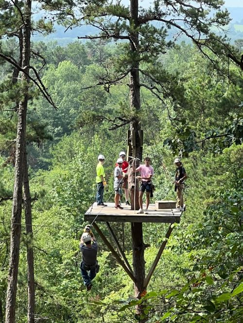 A group of people on a platform in a tree, surrounded by lush greenery, with one person zip-lining down.