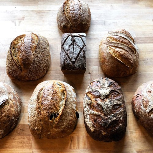 A variety of artisanal breads arranged on a wooden surface, showcasing different shapes and crust patterns.