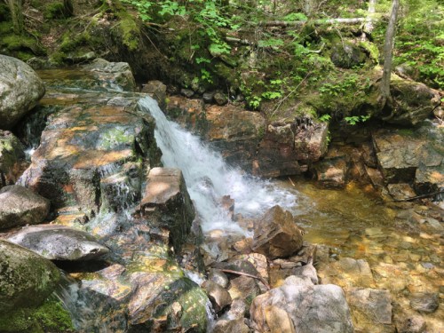 A serene stream flows over rocks in a lush, green forest, surrounded by trees and sunlight filtering through the leaves.