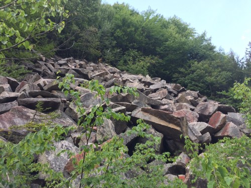 A rocky hillside covered in large boulders, surrounded by green trees and foliage under a clear blue sky.