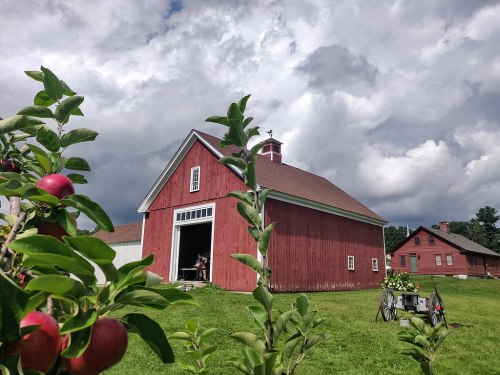 A red barn surrounded by apple trees under a cloudy sky, with a glimpse of people inside the barn.
