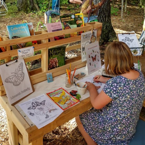 A child sits at a wooden table, coloring butterfly drawings with books and art supplies in a nature setting.