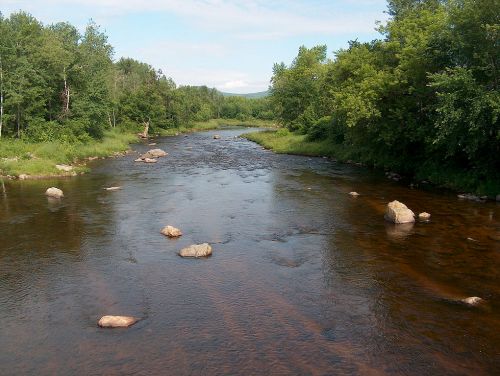 A serene river flows through a lush green landscape, with scattered rocks and trees lining the banks under a clear sky.