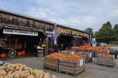 A farm market with wooden buildings, pumpkins, and squash displayed outside, set in a rural landscape.