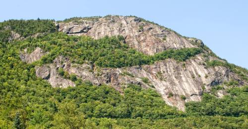 A rocky mountain rises above a lush green forest under a clear blue sky.