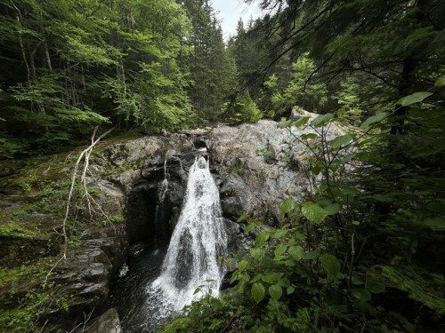 A serene waterfall cascades over rocks, surrounded by lush green trees and foliage in a tranquil forest setting.