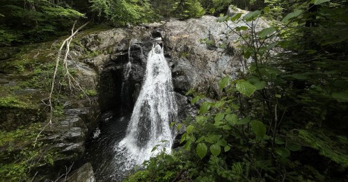 A serene waterfall cascading over rocks, surrounded by lush green foliage in a tranquil forest setting.