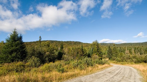 A winding gravel road through a lush green landscape under a blue sky with scattered clouds.