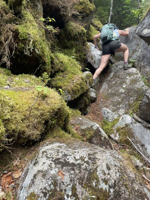 A person climbing over moss-covered rocks in a forested area.