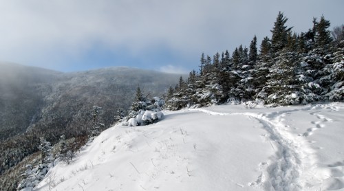 A snowy landscape with a trail leading through evergreen trees and mountains under a cloudy sky.