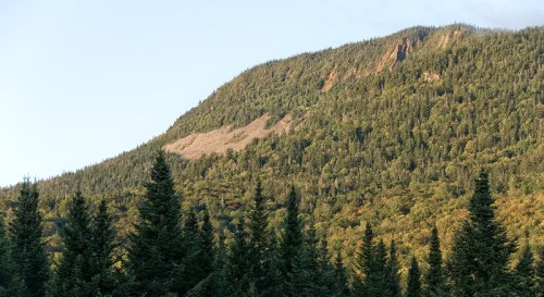 A lush green mountain with a rocky slope, surrounded by dense evergreen trees under a clear sky.