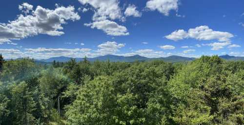 A panoramic view of lush green trees and distant mountains under a bright blue sky with fluffy white clouds.